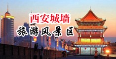 17ccon中国陕西-西安城墙旅游风景区